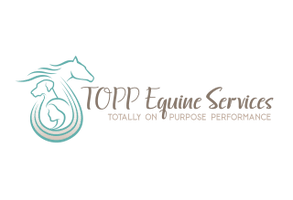 Equine Acuscope Myopluse Therapy