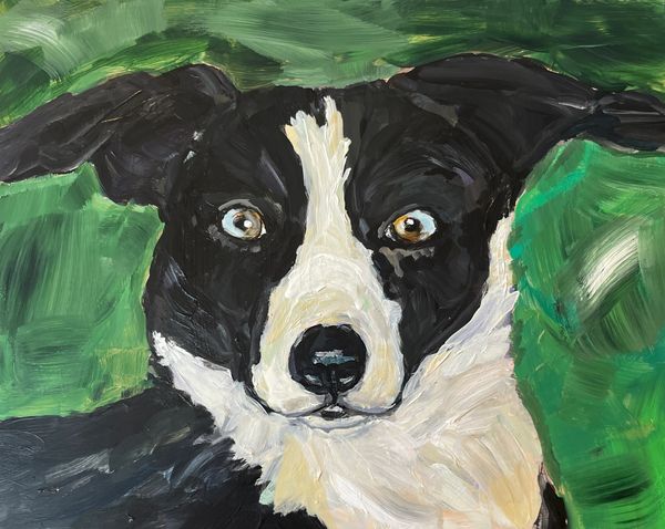 Dog