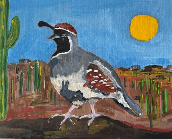 Gambel's Quail