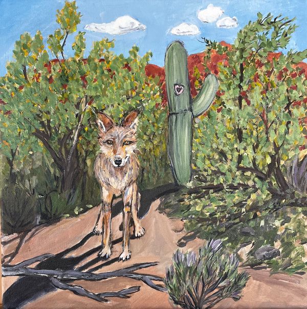 Coyote in the desert