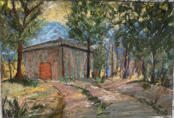 Shed in the Woods