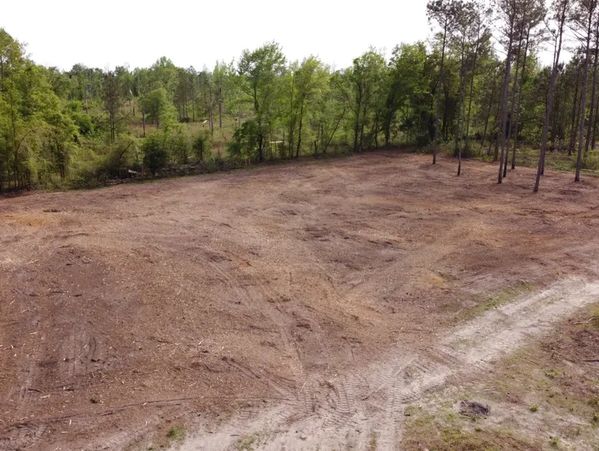 #CONVENTIONALLANDCLEARING, #LANDCLEARING, #FENCELINECLEARING, 
#FORESTRYMMULCHING, #LEONCOUNTY, #GAD