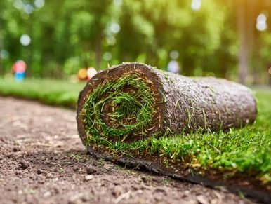 #sod #sodinstallation #landscaping #lawncare #gadsdencounty #leoncounty