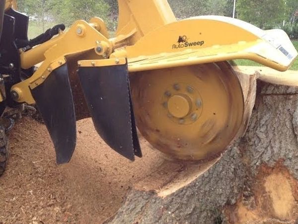 #stumpgrinding, #stumpremoval, #TREESERVICE, #treeremoval, #treetrimming, #forestrymulching, #landcl