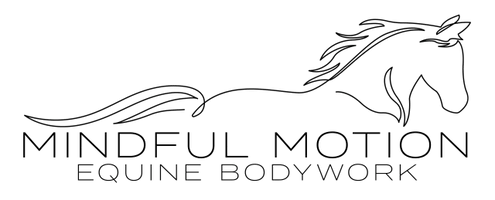 Mindful Motion Equine Bodywork
