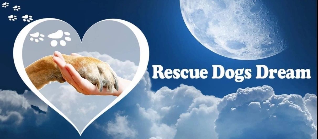 Every dogs best sale dream adoption center