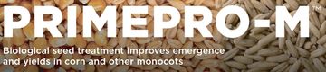 Biological seed treatment for better corn emergence and yields.