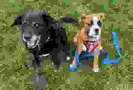 About us | Barley Naked Brewing Company