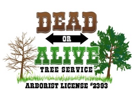 Dead or Alive Tree Services