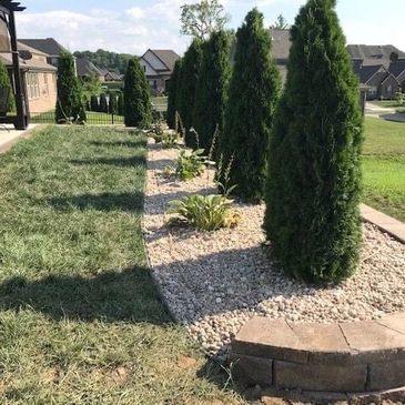 Yard landscaping 