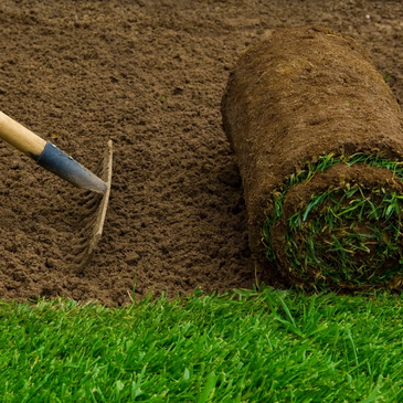 Sod installation 