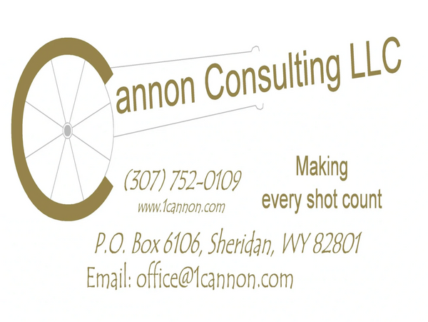 Cannon Consulting Logo