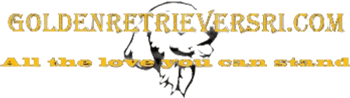 Golden Retrievers Ri