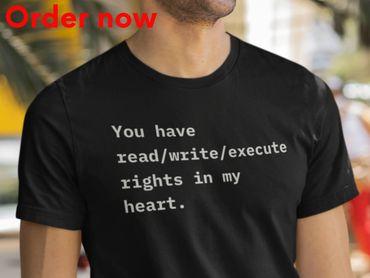 Funny Programmer Shirt, Software Engineer Gift, Linux Developer Tee, Coding T Shirt, DevOps Gift