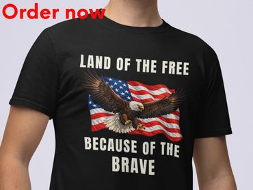Land of the Free Because of the Brave Eagle US Flag Patriotic T Shirt, Gift for Veterans, Military