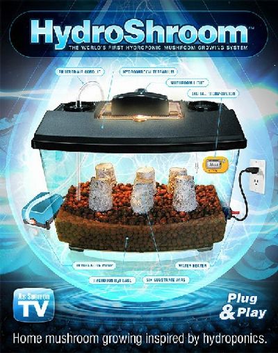 Mushroom Kit Reviews Mushroomkitreviews