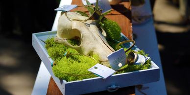 Animal skull displayed with jewelry and plants in a decorative box.