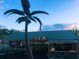 Coconut Joe's Tiki Bar