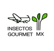 Insectos Gourmet Mx