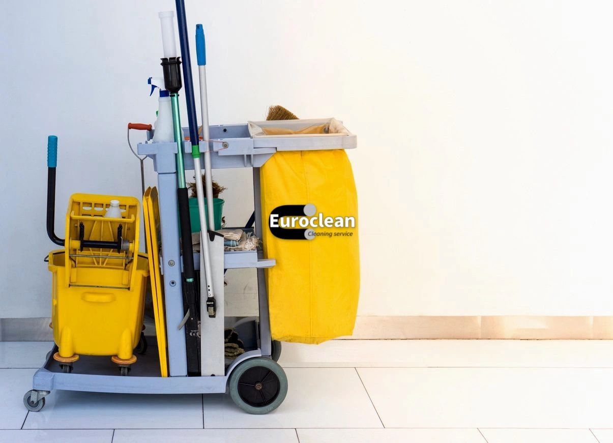Euroclean cleaning service Home