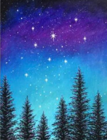 Night sky with shinny stars and fir trees