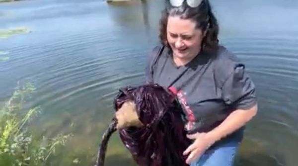 Rescued Goose stuck in fishing line.