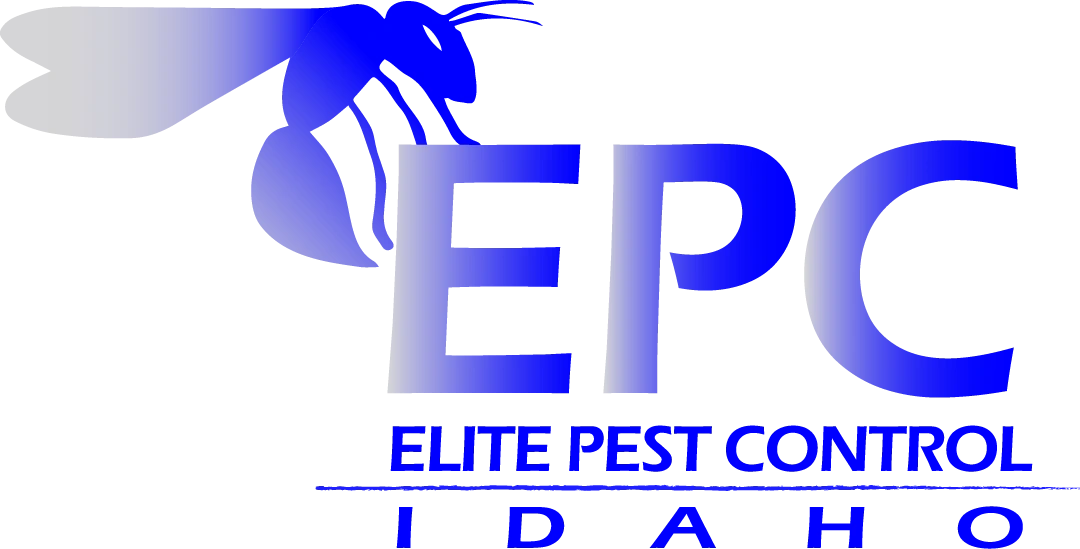 elite pest control