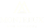 Montreux Risk Advisory