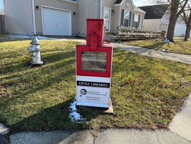 New Berlin Little library box which looks like a newpaper stand. 