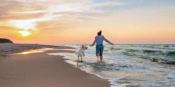 Happy traveller and equally happy dog frolicking where the sea meets the beach.