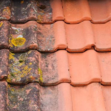 Before and After pressure washing a roof