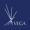 VEGA HANDELS CONSULTING