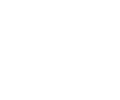 Sample Developments