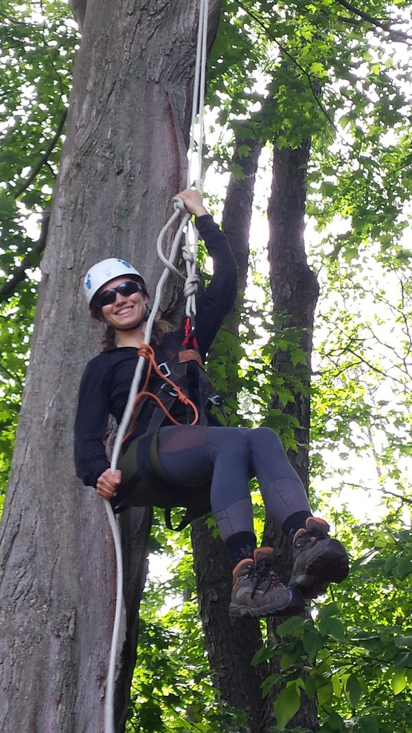 Courses TREE CLIMBING CANADA