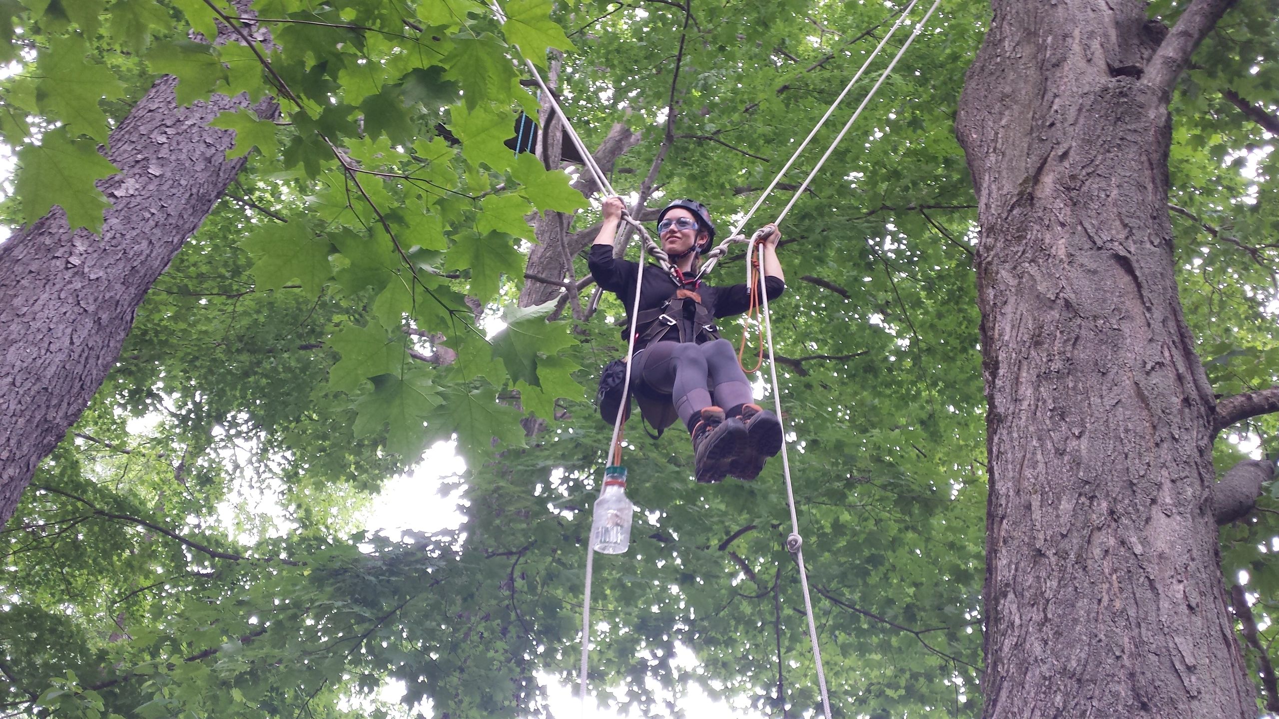 Freeworker Blog » On a strong line: Tree climbing ropes in tree care