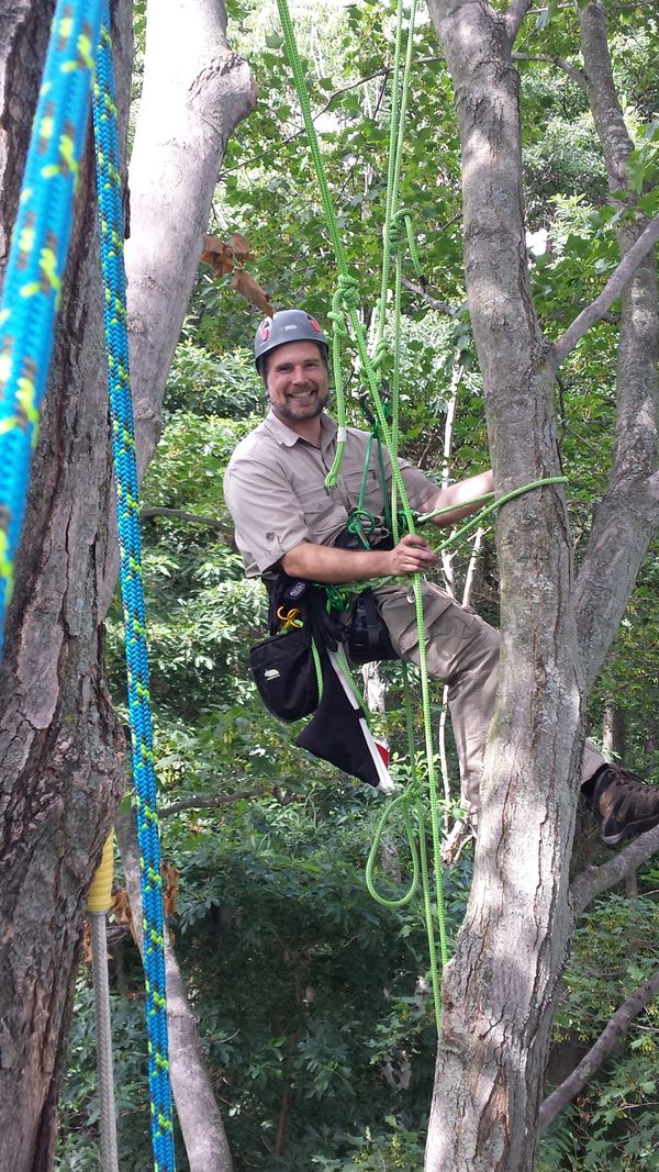 A Guide to Basic Tree Climbing Knots, pt. 1 - Landmark Trading