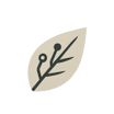 Spice Sync