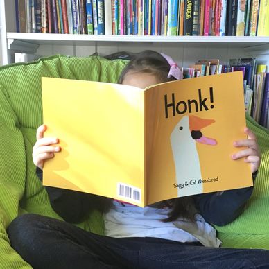 Preschooler reading funny cute interactive children's picture book titled Honk! about a silly goose.