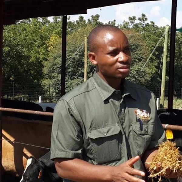 Man holding hay in a farm setting.