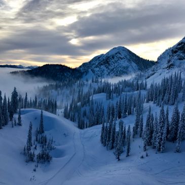 Snow-covered mountain landscape with pine trees.
