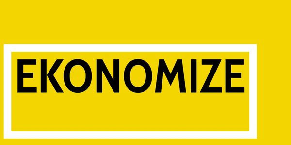 Ekonomize logo