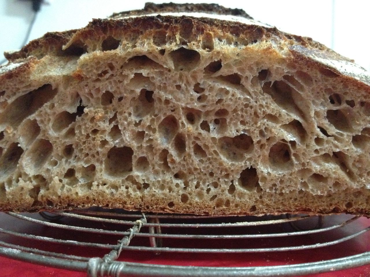 A poor 100th loaf of sourdough. A poor 100th loaf of sourdough.