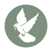 White Dove Outpouring website