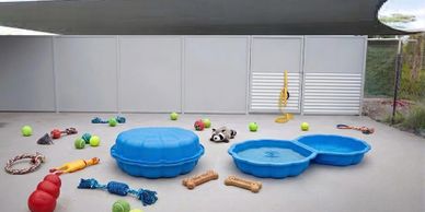 A spacious dog play area with toys and blue pools.
