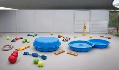 A variety of dog toys scattered around blue plastic pools in an outdoor area.