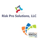 Risk  Pro Solutions