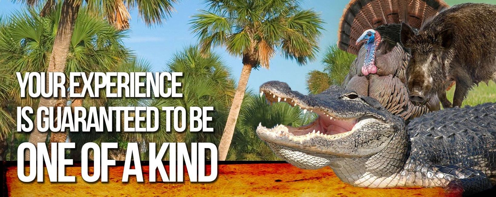 Florida Alligator Hunting Guide