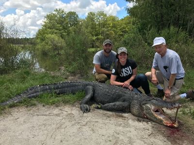 Gator Hunt Information