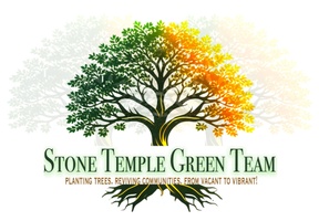 Stone Temple Tree Ambassador Program