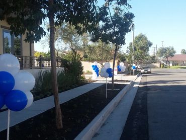 Blue and white balloons line a sidewalk along a street on a sunny day.